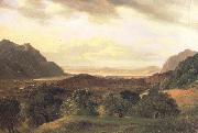 Alexandre Calame The Rhone Valley at Bex with a View to the Lake of Geneva (nn02) oil painting on canvas